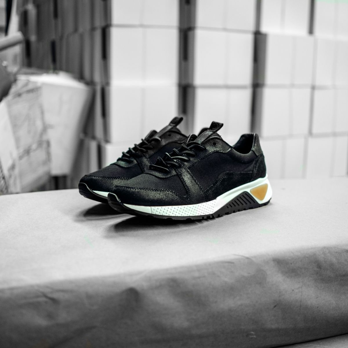 TM SHOES