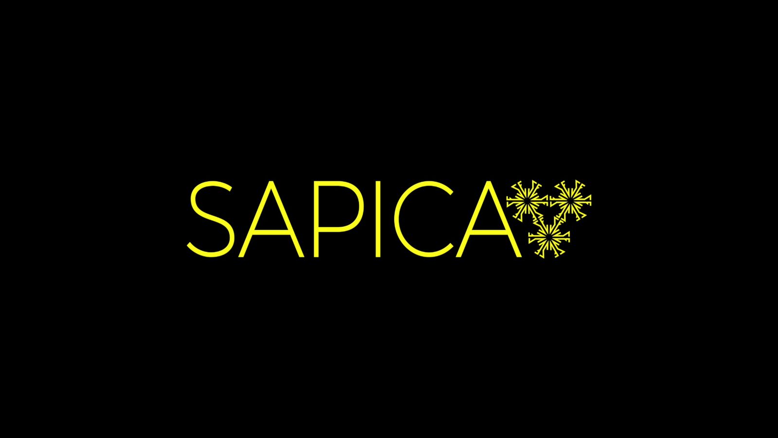 SAPICA 2021