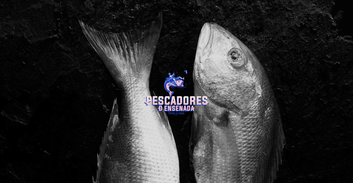 Pescadores de Ensenada