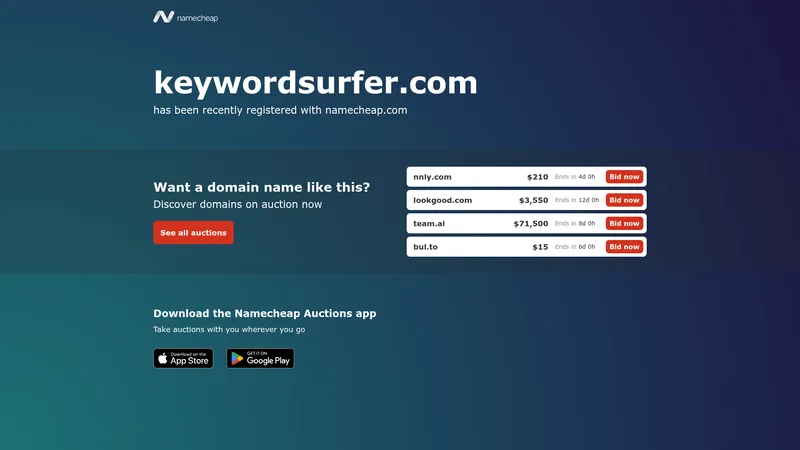 Keyword Surfer interface