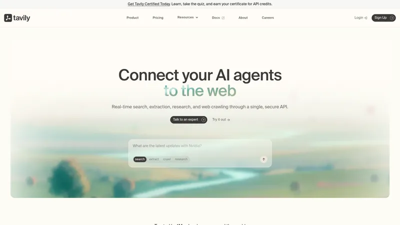 Tavily interface