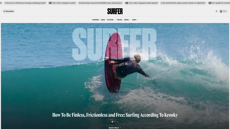 Surfer interface