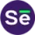 Selzy logo