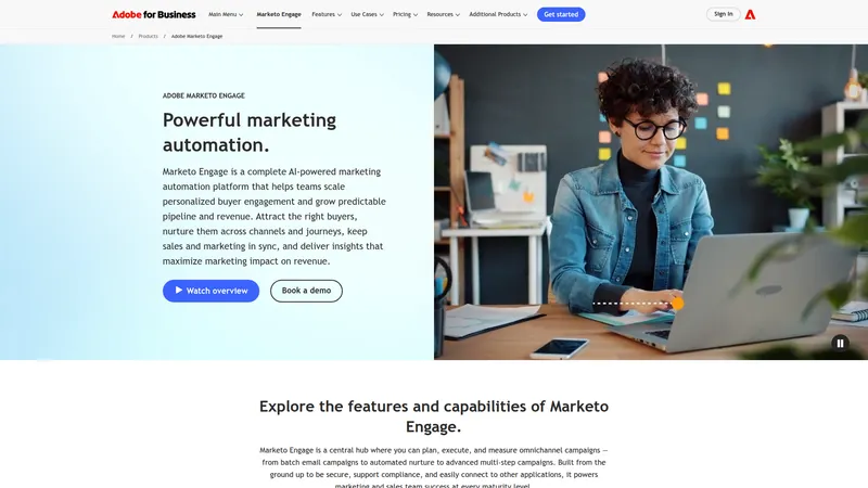 Marketo interface