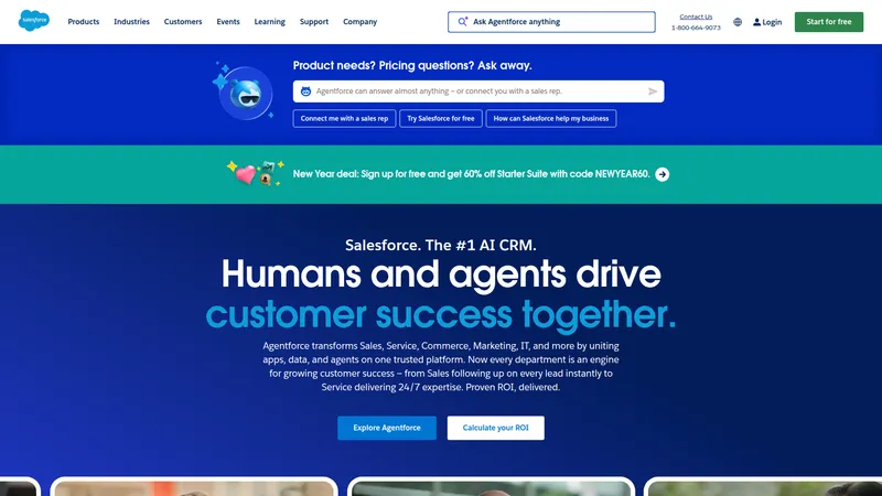 Salesforce interface