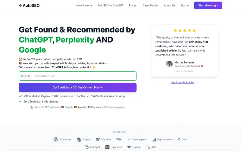 AutoSEO interface