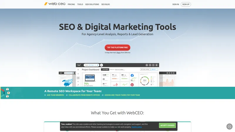 WebCEO interface