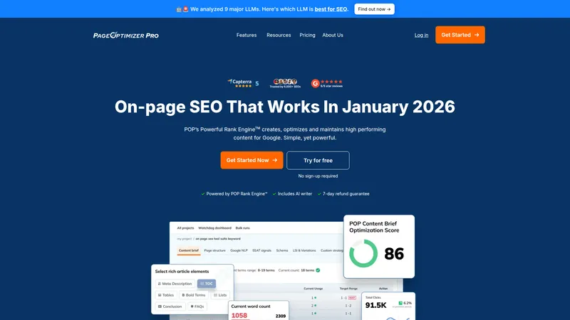 Page Optimizer Pro interface