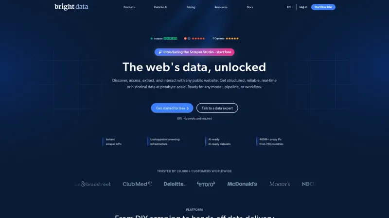 Bright Data interface
