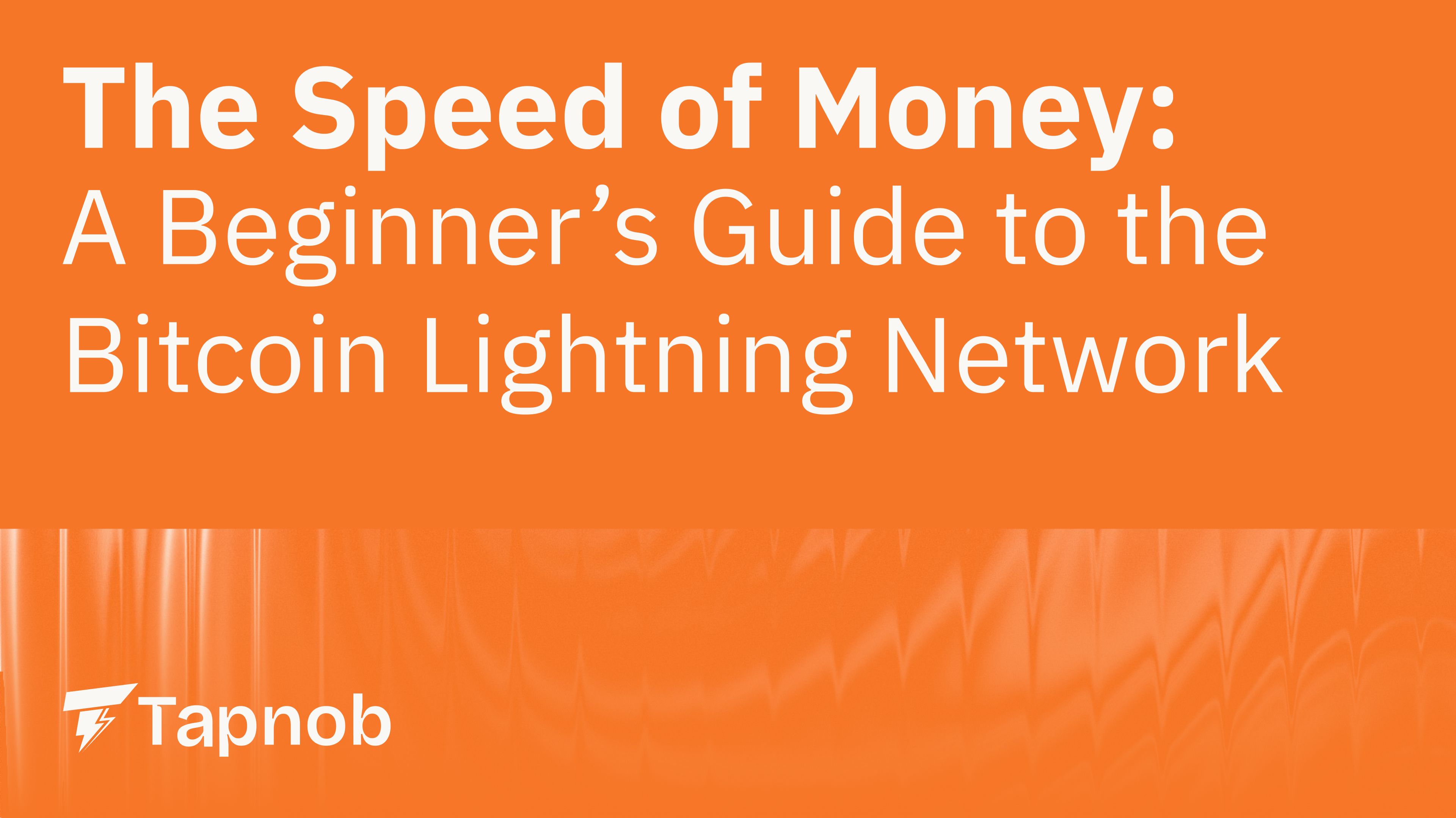 The Speed of Money: A Beginner’s Guide to the Bitcoin Lightning Network