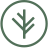 Icon for Branch Insurance