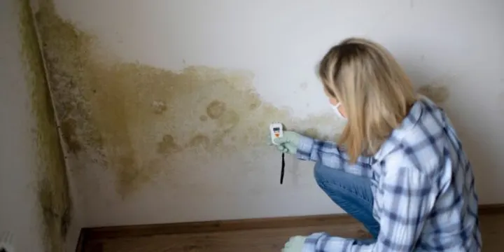 How-to-Confirm-Sewer-Line-Problems-Behind-Mold-Growth
