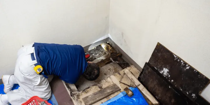 What to Do if You Suspect Plumbing Issues