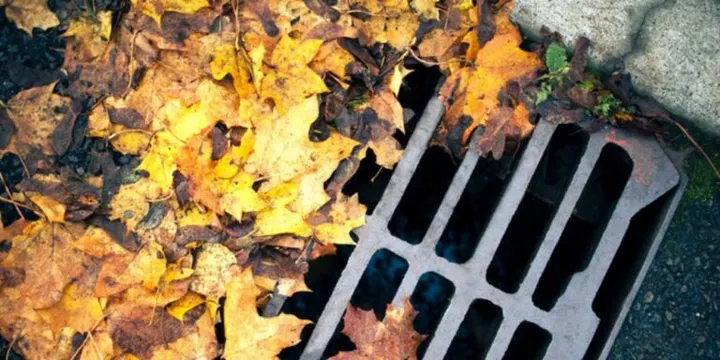 Drain Cleaning - Smart-Tip