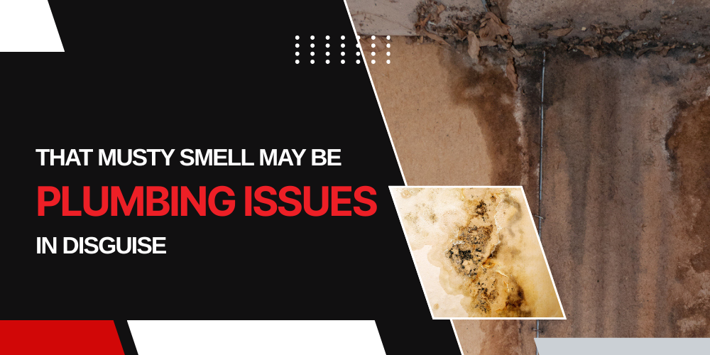 That Musty Smell May Be Plumbing Issues in Disguise