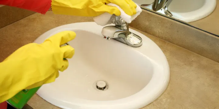 Technique 6- Biological Cleaners