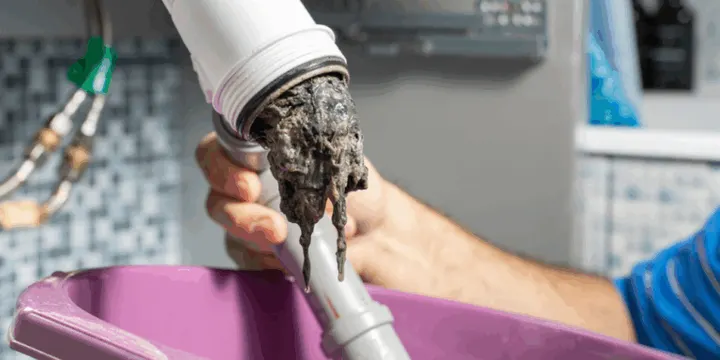 Common Plumbing Issues That Cause Musty Odors