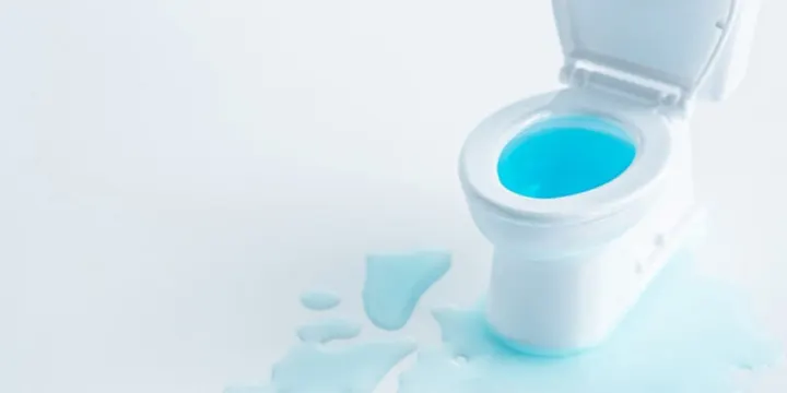 Plumbing - Inspect Toilets for Leaks