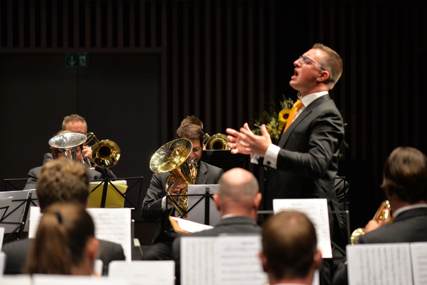 Maestro um Maestro