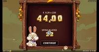 GOGO Casino Bonus Bunnies player big win