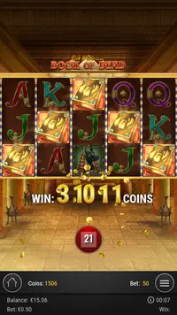 Nopeampi Book Of Dead player big win