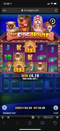 Mr Vegas dog house  player big win