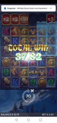 Royal Panda Ice Wolf player big win