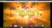 Huikee Wild Fram iso voitto