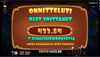 Casino Winner Dog house megaways player big win