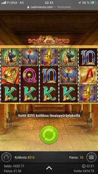 CasinoEuro Book Of Dead player big win