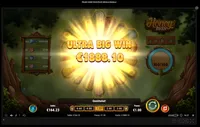 Casino Winner honey rush player big win