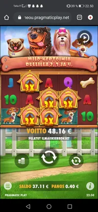 Rocket Casino Dog house player big win
