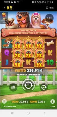 Kazoom Casino Doghouse player big win