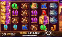 Caxino Casino buffalo king player big win