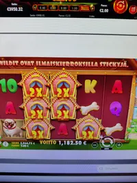 Slotwolf Dog house player big win