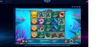 mrBit Casino RazorShark player big win
