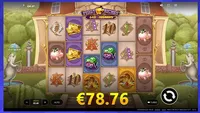 Piggy Riches Piggy Riches player big win