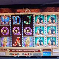 Olybet Book of dead player big win