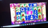 SuperSeven Casino Madame destiny megaways player big win Player wins massive 5000x win on the Unknown game Madame destiny megaways. A small 0.2€ bet paid out a total of 1000€ at SuperSeven Casino.