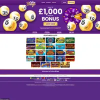 Online Bingo Casino screenshot 1