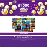 Online Bingo Casino screenshot 1 Online Bingo Casino screenshot 1