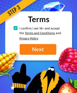 Read Terms and Conditions at Pragmatic Play Sites