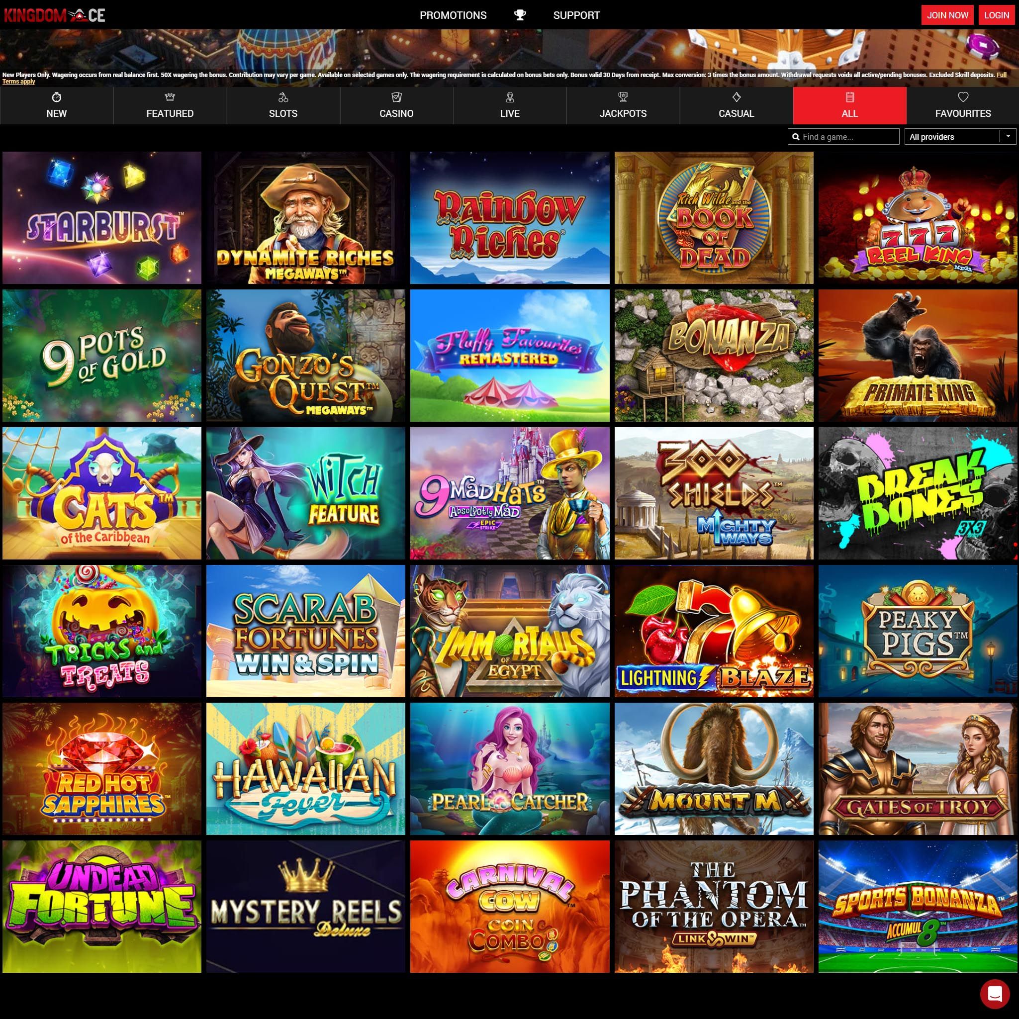 KingdomAce Casino review