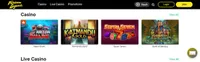 fortune legends casino homepage fortune legends homepage offers casino games, first deposit bonus and promotions for new players-logo