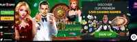 playamo casino homepage playamo casino homepage offers casino games, first deposit bonus and promotions for new players-logo