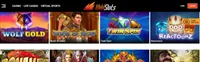 wildslots casino homepage wildslots homepage offers casino games, first deposit bonus and promotions for new players-logo