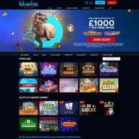 Playing at an online casino offers many benefits. BlueFox Casino is a recommended casino site and you can collect extra bankroll and other benefits.