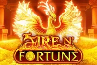 Fire n Fortune-logo