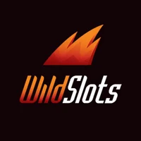 Online Casinos - WildSlots
