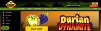 gday casino homepage gday casino homepage offers casino games, first deposit bonus and promotions for new players-logo